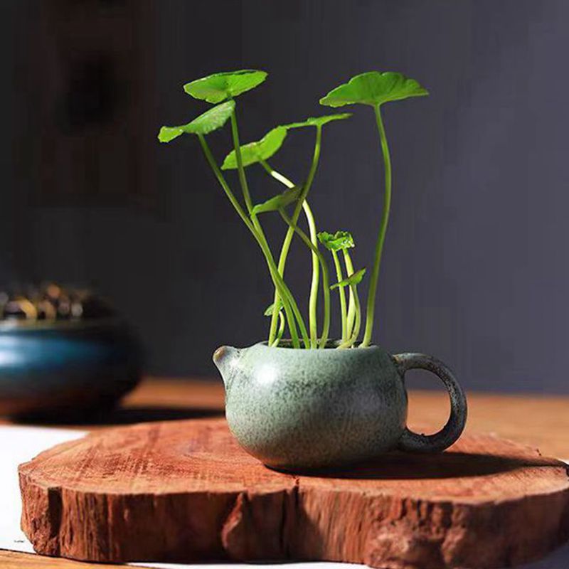 粗陶迷你铜钱草花插禅意家居桌面摆件水培绿陶创意花器陶瓷小花瓶