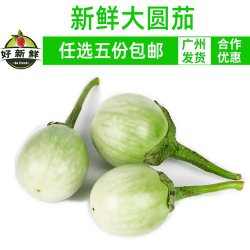 茄500g大圆茄泰国东南亚食材