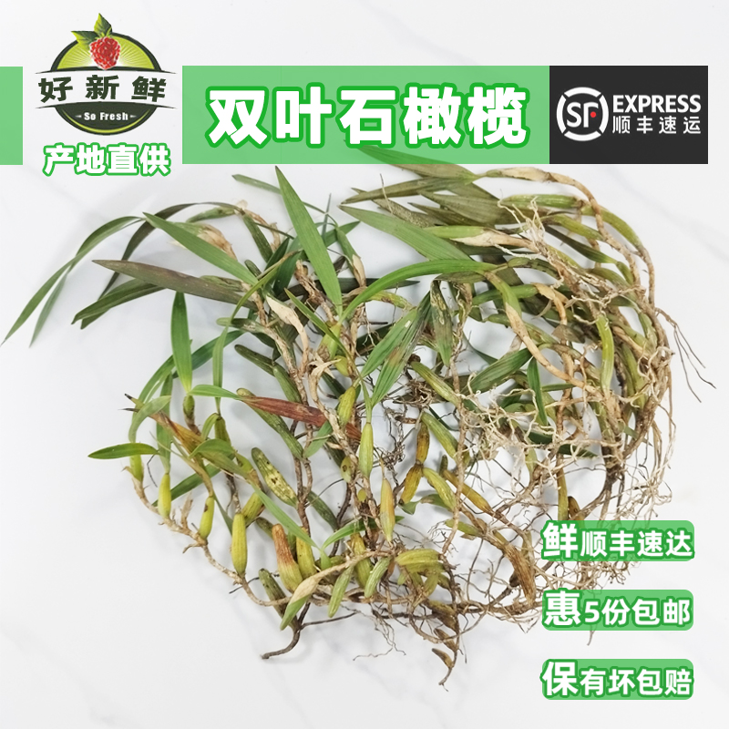 好新鲜双叶石橄榄石莲煲汤食补品材材料广西福建石仙桃果顺丰速运