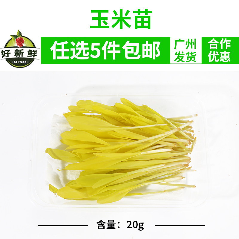 新鲜玉米苗 约20g 芽苗菜酒店饭店西餐摆盘装饰点缀 可食用一盒