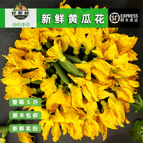 新鲜小青瓜花小黄瓜迷你凉拌沙拉