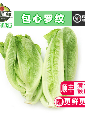 新鲜蔬菜包罗生菜即食沙拉凯撒西餐包心黄心罗马罗纹生菜健身轻食