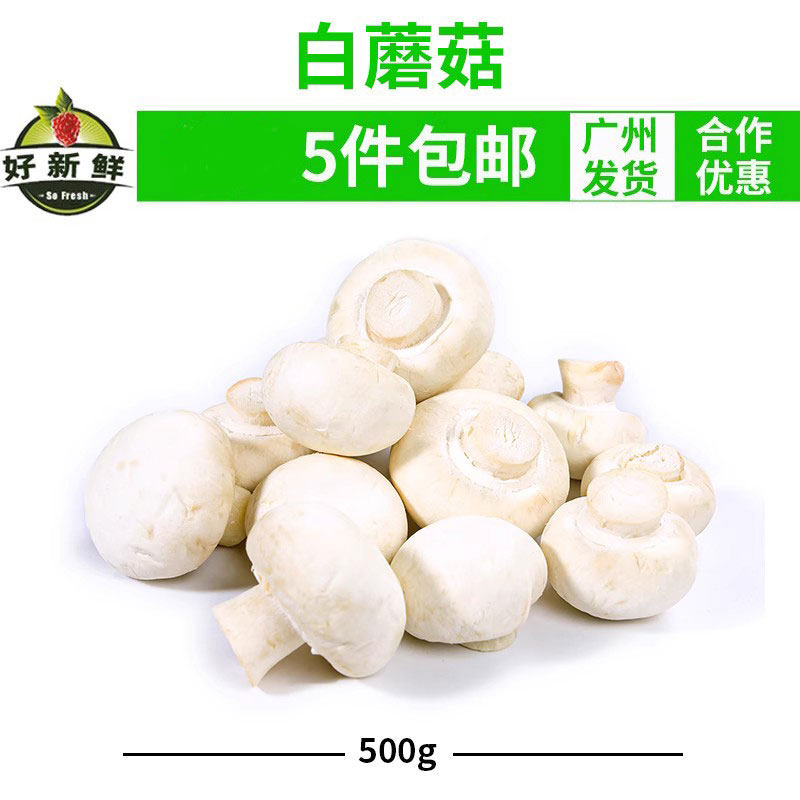 好新鲜口蘑散装双孢白菇西餐食材蔬菜煲汤烧烤火锅白蘑菇酒店餐厅