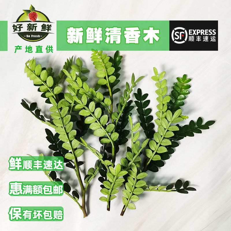 新鲜清香木蛋糕奶茶装饰叶子新鲜西餐烘培摆盘点缀花草胡椒木15克,水产肉类/新鲜蔬果/熟食,其它,淘宝优惠券,粉丝福利购,淘宝优惠卷
