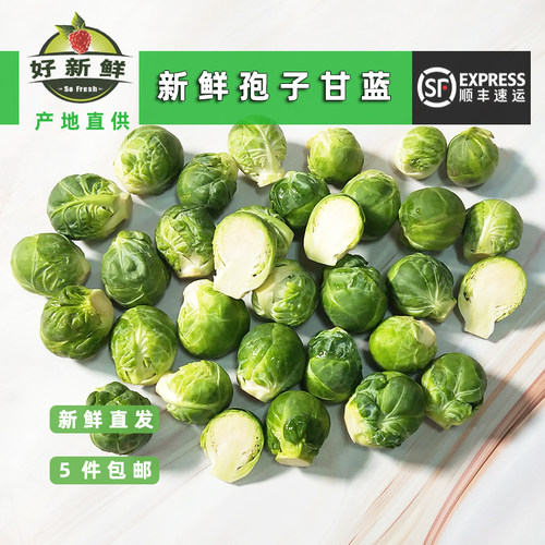 好新鲜孢子甘蓝生态农场新鲜蔬菜沙拉食材小包菜抱子甘蓝小卷心菜