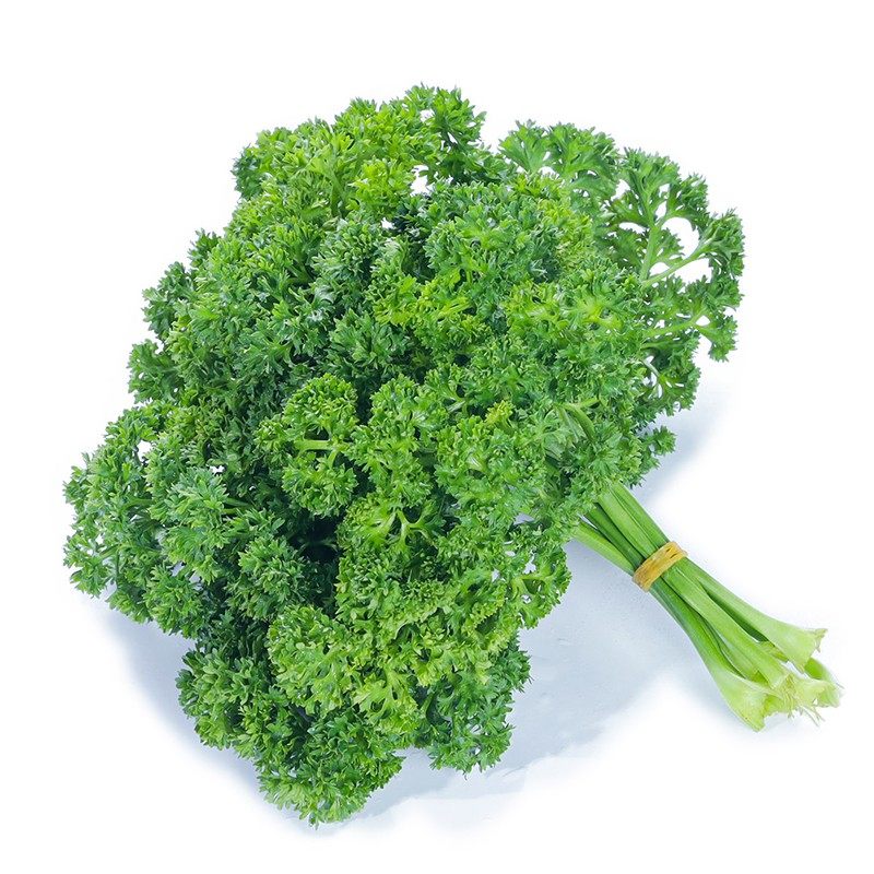 好新鲜荷兰芹菜反西番西法国香芹西洋芹餐厅蛋糕装饰摆盘一份包邮