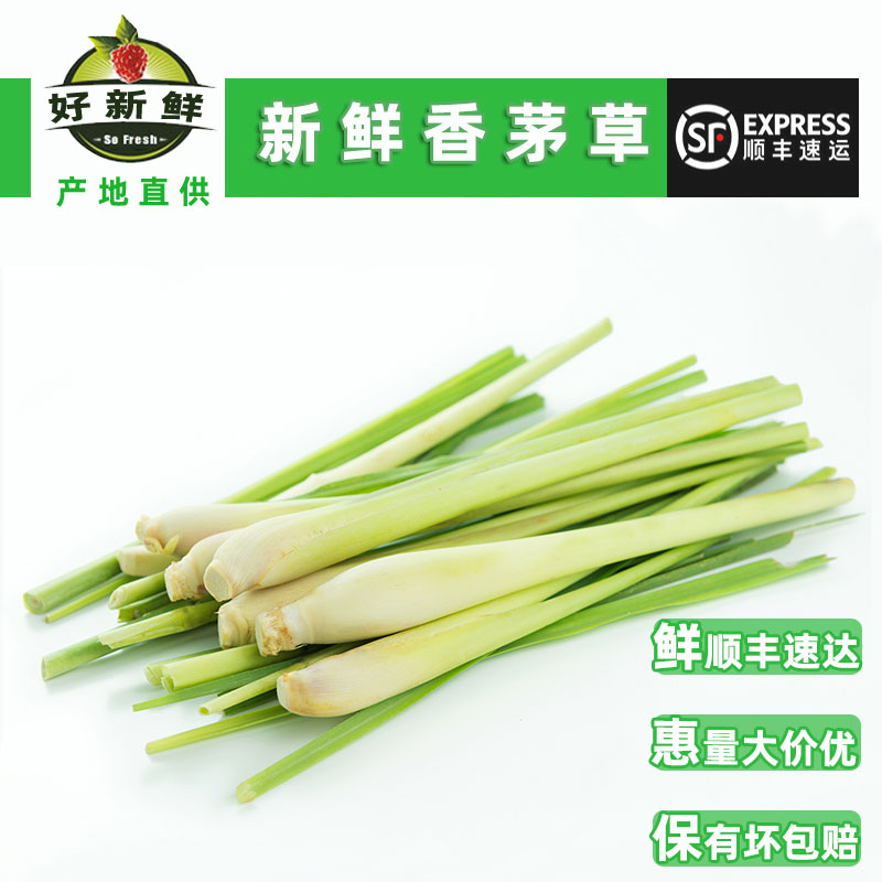 新鲜香茅草带叶柠檬草冬阴功西餐配菜火锅汤底香调料餐饮顺丰包邮