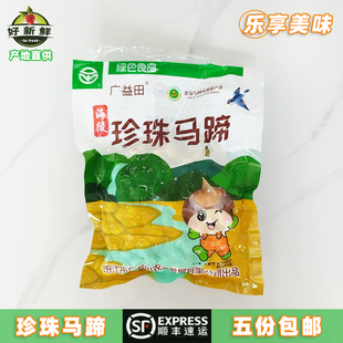 新鲜珍珠马蹄350克 去皮小荸荠 海南椰子鸡火锅配菜批发 顺丰速运