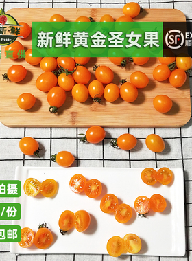 黄金圣女果黄色樱桃珍珠小番茄西红柿 即食蔬菜沙拉 孕妇水果500g