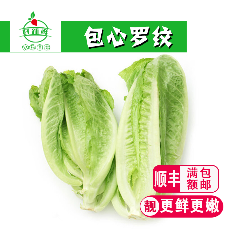 新鲜蔬菜包罗生菜即食沙拉凯撒西餐包心黄心罗马罗纹生菜健身轻食