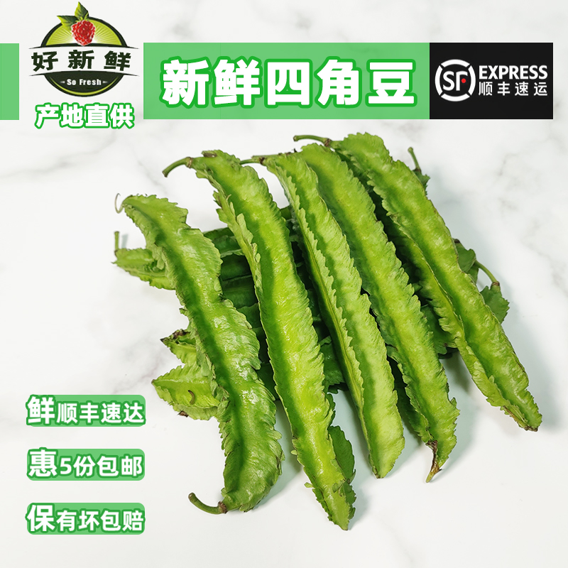 海南四角豆皇帝四棱豆新鲜果蔬菜