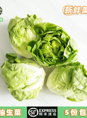新鲜蔬菜奶油生菜生吃轻食沙拉菜