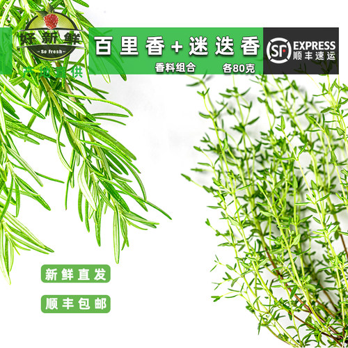 新鲜迷迭香百里香160克 牛排调味调料西餐食材蔬菜香料菜顺丰包邮