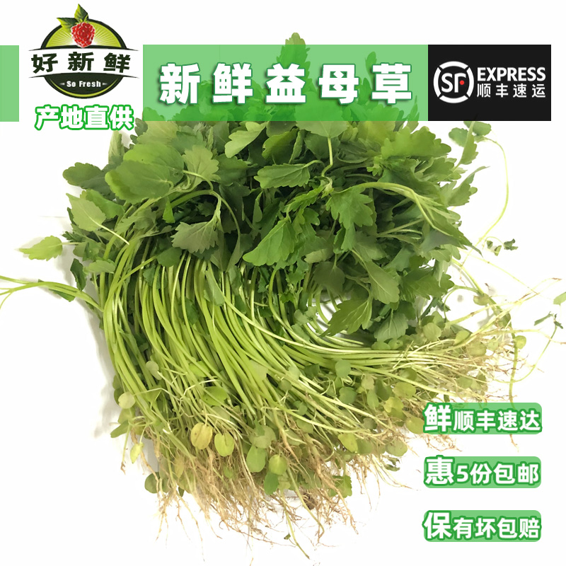 好新鲜水果蔬菜益母草坤草野菜女性姨妈修养生理期坐月子顺丰速运