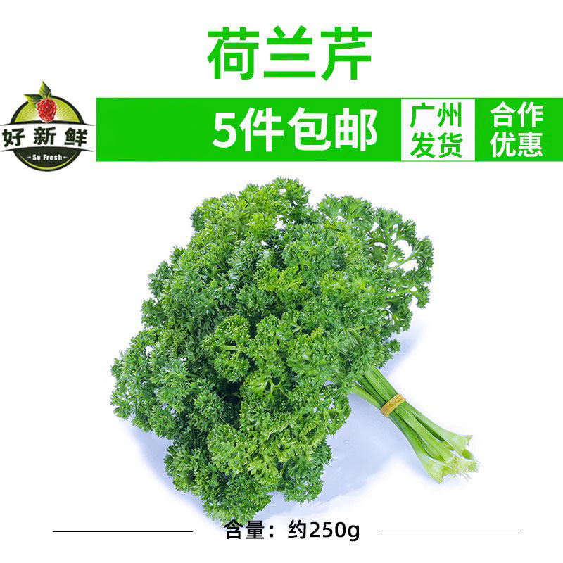 新鲜番西荷兰欧芹法国香芹酒店餐厅装饰摆盘反西点缀顺丰5份包邮