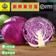 好新鲜紫甘蓝紫包菜卷心紫椰菜紫球菜沙拉西餐轻食1000克5份 包邮
