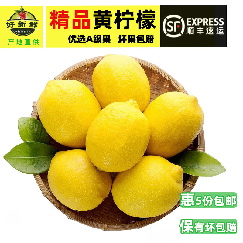 新鲜四川安岳黄柠檬饮品奶茶店榨汁时令水果皮薄多汁现货500克份
