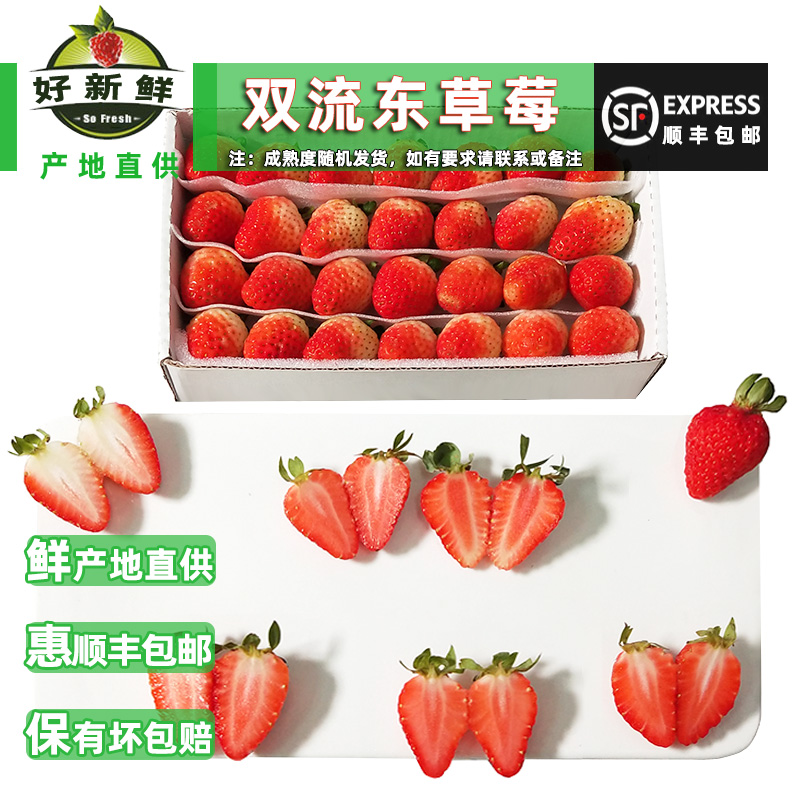 新鲜双流四季酸草莓商用蛋糕烘焙奶茶饮沙拉冰糖葫芦摆盘装饰包邮