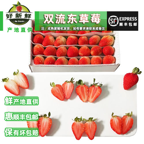 好新鲜果蔬双流东酸草莓装饰烘焙