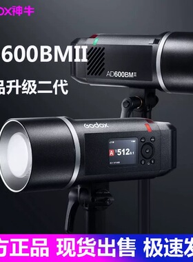 godox神牛AD600 BM外拍灯ad600pro ii二代闪光灯便携户外人像婚纱