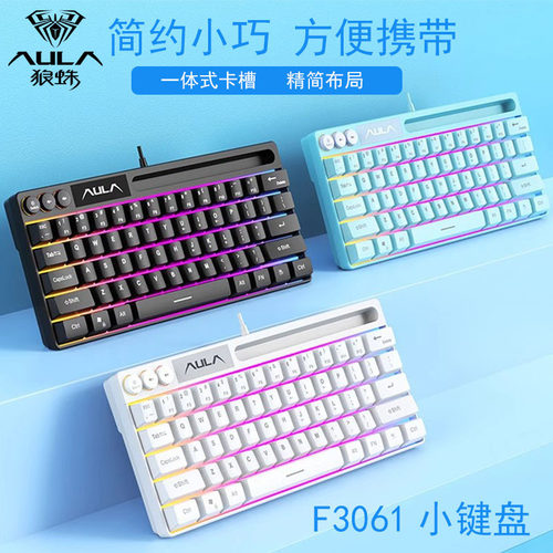 狼蛛F3061mini有线小键盘轻音64键RGB背光多功能按键自带卡槽