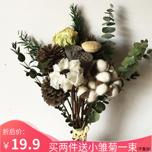 干花松果 饰摆件天然花束 棉花尤加利叶干花北欧风ins真花风干装