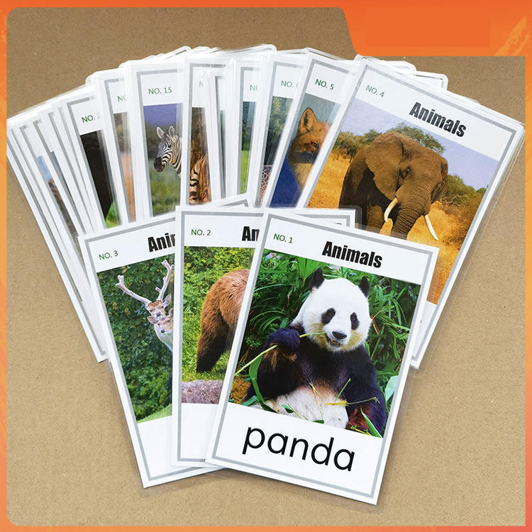 英语卡片闪卡45张塑封动物认知
