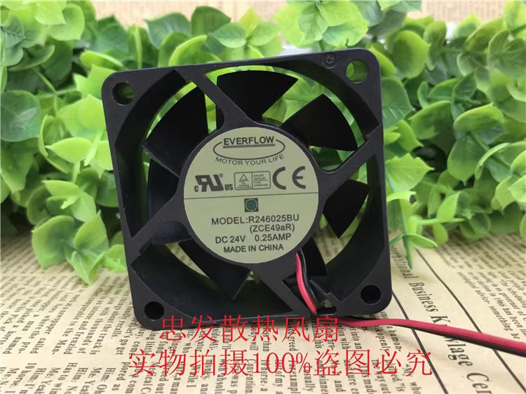 EVERFLOW R246025BU 24V 0.25A 6CM 6025 大风量 变频器散热风扇