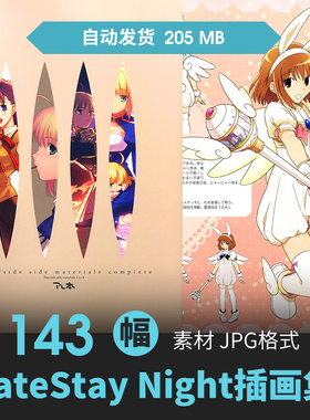 命运之夜FateStay Night插画集人物场景CG原绘画游戏动漫线稿素材