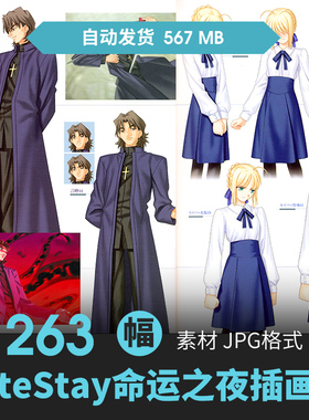 命运之夜FateStay Night II插画设定集人物场景插画动漫游戏素材