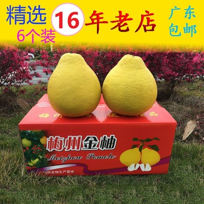 正宗广东梅州梅县沙田柚金柚甜柚