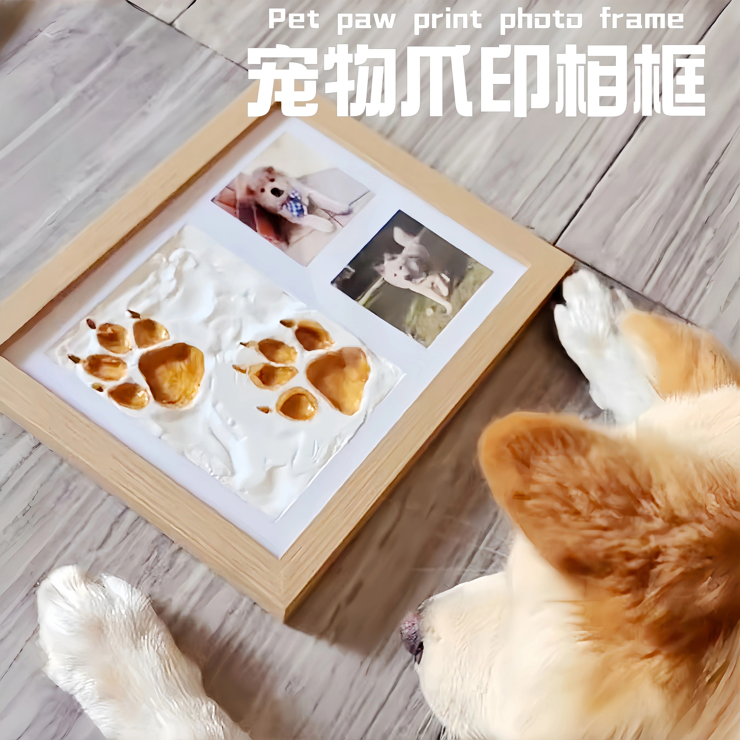 宠物印泥手脚印纪念品定制狗狗爪印相框摆台猫咪爪足迹卡印收藏品