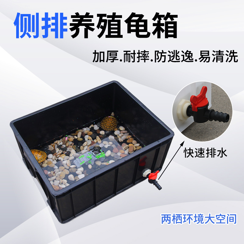 侧排带排水阀周转龟箱鱼箱塑料长方形鳄鱼养殖箱大号鱼缸螃蟹虾缸