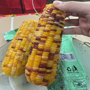 长白山富硒花糯玉米280g*8根 （2 箱划算）