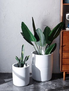 景德镇陶瓷落地简约白色大花盆客厅别墅种植盆栽大口径高级感花瓶