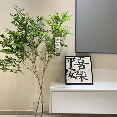 美男树水培绿植办公室内客厅装饰植物马醉木吊钟同养护买一送一