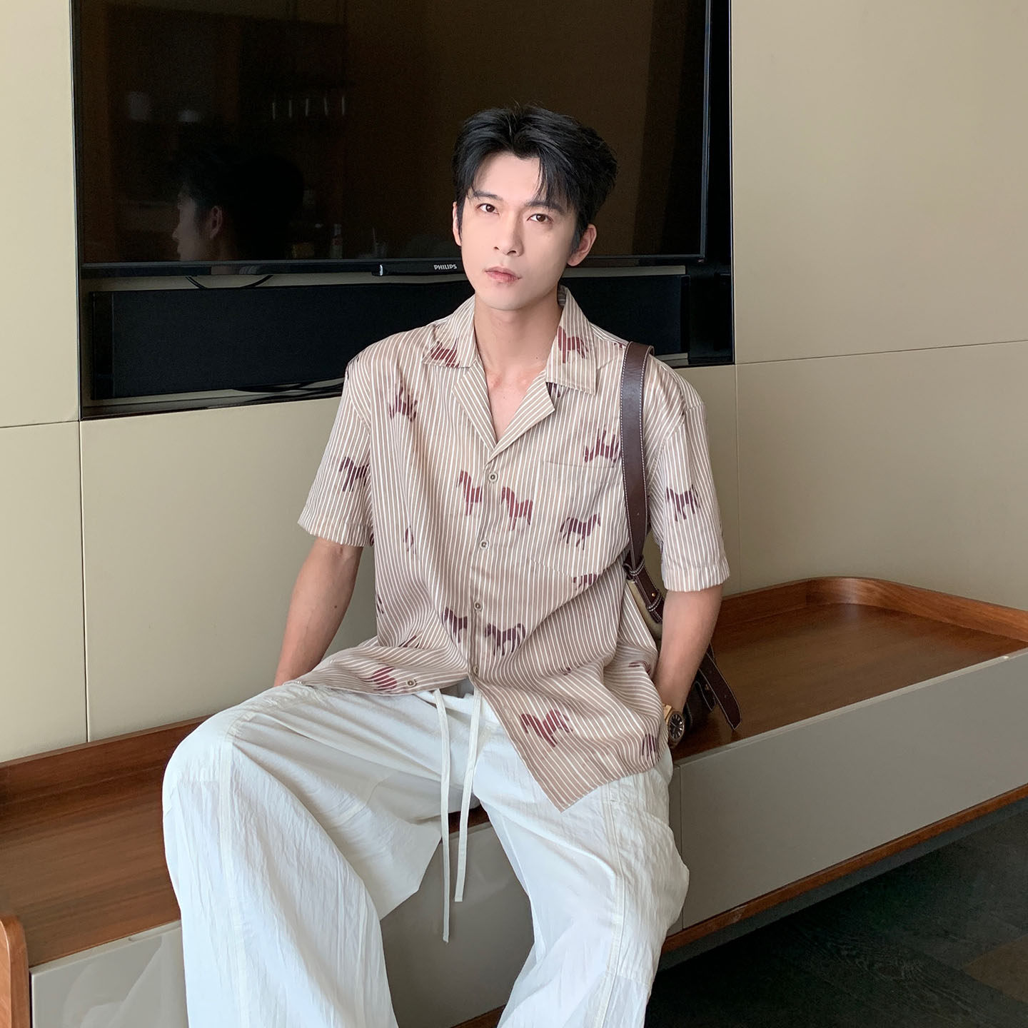 HLDS夏季暗条纹小马衬衫男图片