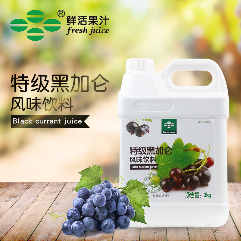 鲜活黑加仑浓缩果汁 黑加仑浓缩饮料浓浆商用冲饮原料奶茶店专用