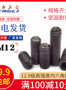 M12内六角12.9高强度紧定螺丝/无头/顶丝/机米/凹端紧固DIN916