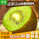 绿心奇异果孕妇应季 寻味江山徐香弥猕猴桃新鲜水果整箱5斤 包邮