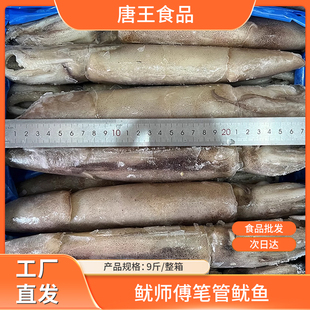 冷冻海兔子新鲜笔管鱼鱿鱼仔野生海捕小鱿鱼墨鱼烧烤商用食材9斤