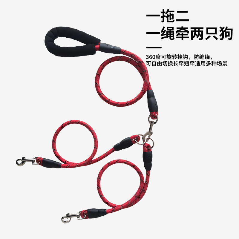 测试推荐一绳牵俩狗，双头狗绳
