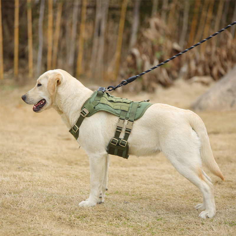 宠物狗狗胸背带马甲背心式遛狗绳牵引绳中大型犬用品战术狗衣服