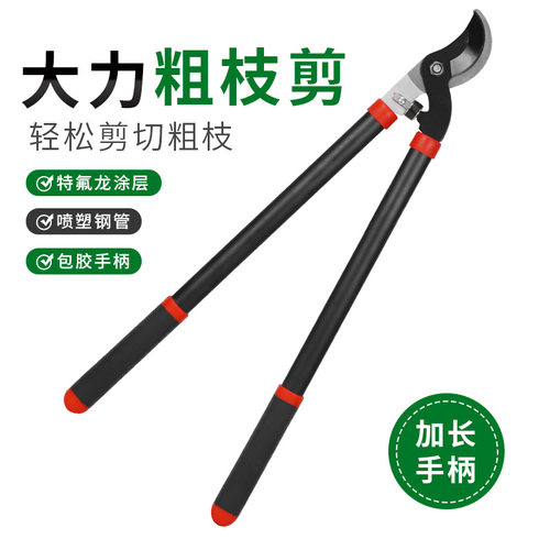 长柄剪枝剪刀果树修枝专用树枝剪园林修剪神器果树大力剪强力剪子