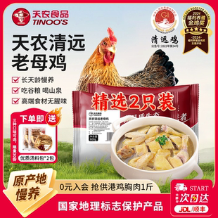 天农广东正宗清远鸡600g 2只新鲜煲汤老母鸡汤农家散养走地鸡土鸡