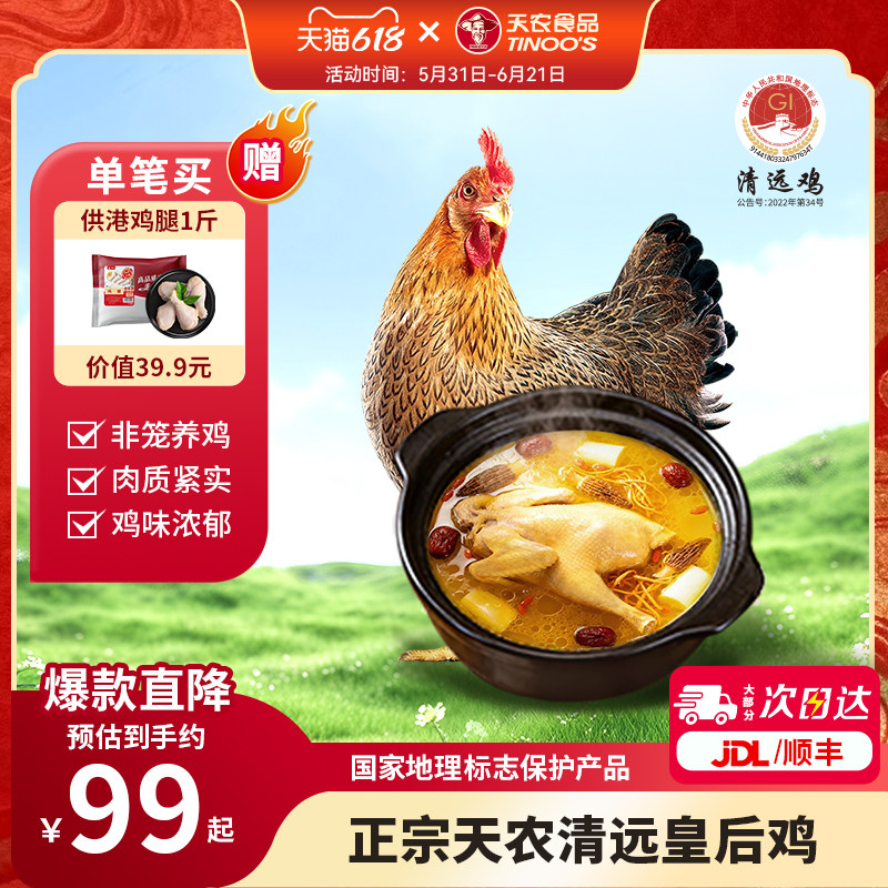 天农广东清远皇后鸡农家散养走地鸡炖煲汤老母鸡整只冰鲜1KG*2只