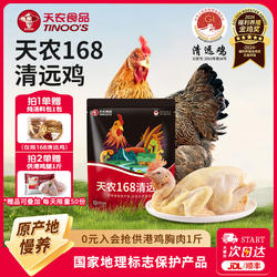 天农138-168天广东正宗清远鸡整只生鲜1KG农家散养土鸡新鲜走地鸡