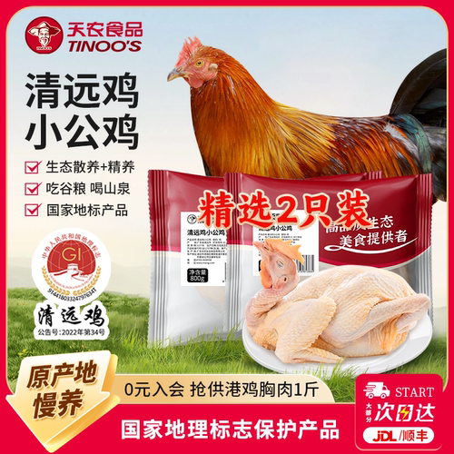 天农广东清远小公鸡整只生鲜800g