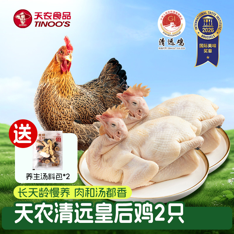 天农清远鸡老母鸡炖汤鸡