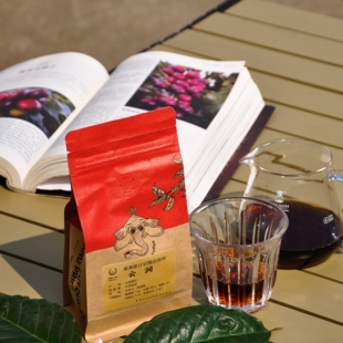 云涧手冲咖啡豆 | 芸茶屋军马山谷庄园云南小粒中深烘精品170克
